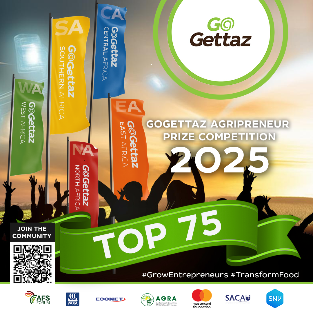 Go Gettaz